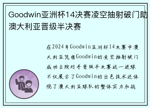 Goodwin亚洲杯14决赛凌空抽射破门助澳大利亚晋级半决赛 Goodwin亚洲杯14决赛凌空抽射破门助澳大利亚晋级半决赛